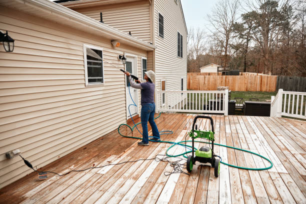 Best Exterior Home Cleaning  in Goodview, MN