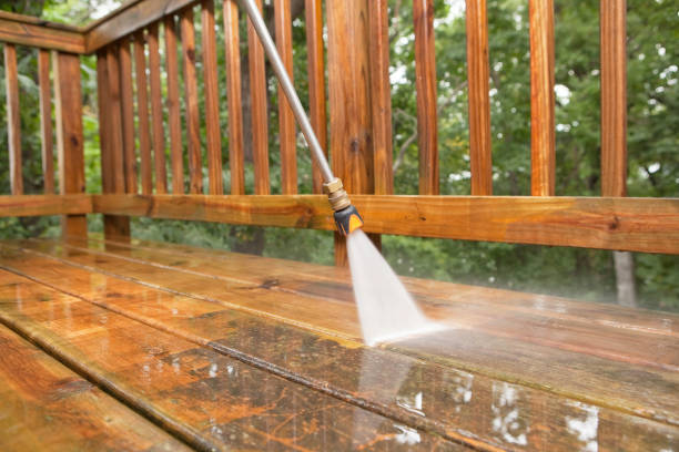 Best Roof Power Washing Services  in Goodview, MN